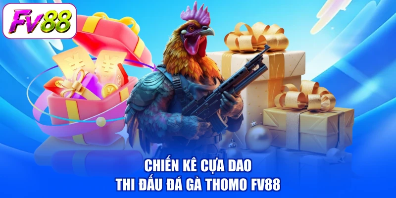 Chiến kê cựa dao thi đấu đá gà Thomo FV88