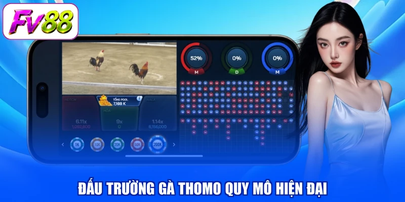 Đấu trường gà Thomo quy mô hiện đại