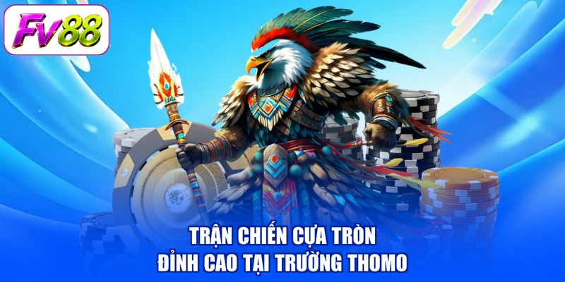 Trận chiến cựa tròn đỉnh cao tại trường Thomo